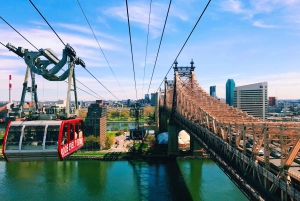 Excursión turística en Nueva York