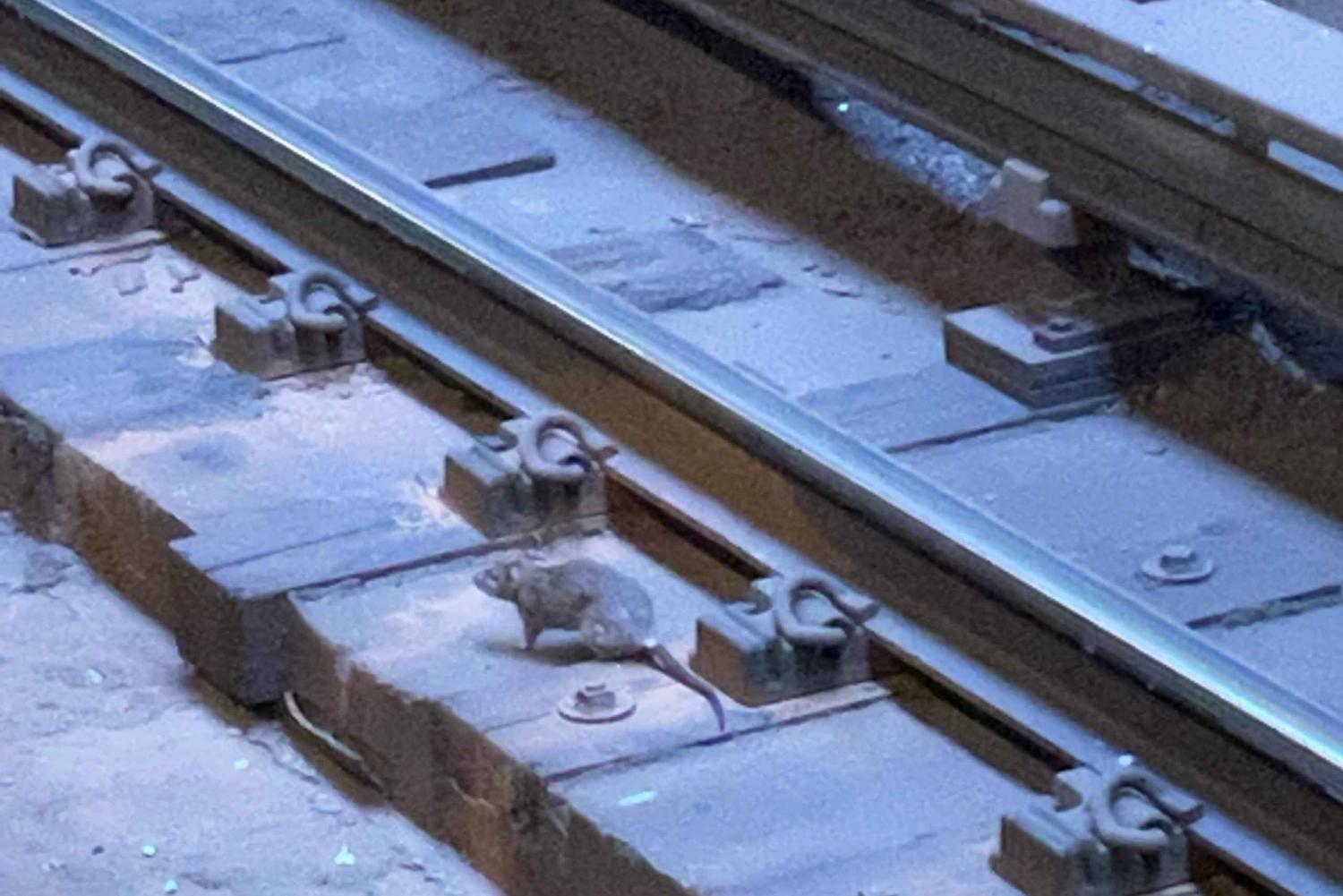 Underjordisk tur i New Yorks undergrundsbane