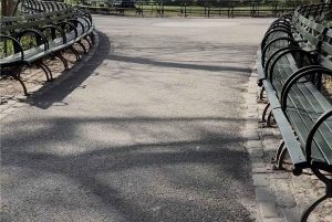 Upper and Lower Manhattan Tour