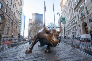 Tour door Upper en Lower Manhattan