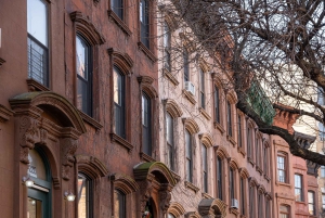 Tour door Upper en Lower Manhattan