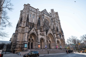 Tour door Upper en Lower Manhattan