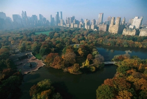 Visite de l'Upper et du Lower Manhattan