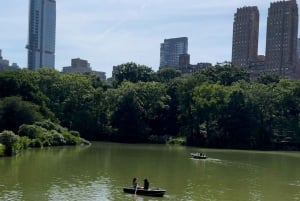 Visite à pied de la ville de New York