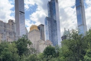 Tour a piedi della città di New York