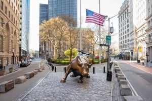 Visite privée à pied de Wall Street et du Financial District
