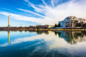 ニューヨーク発ワシントン D.C. 1 日ツアー