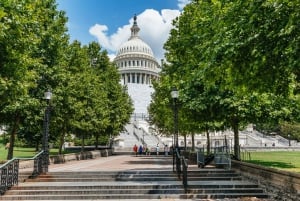 De Nova Iorque: Viagem de 1 Dia de Ônibus a Washington D.C.