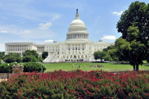 Washington DC NYC:stä Yksityinen kokopäiväretki autolla