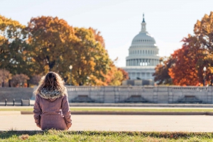 Washington DC ab NYC Privater Ganztagesausflug mit dem Auto