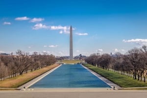 Vanuit NYC: Rondleiding door de hoogtepunten van Washington van 15 uur