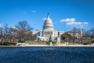 Au départ de NYC : Visite guidée de 15 heures des hauts lieux de Washington