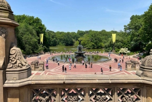 Velkommen til New York: Broadway, 5th Avenue, Central Park-tur