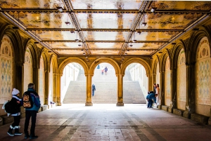 Velkommen til New York: Broadway, 5th Avenue, Central Park-tur