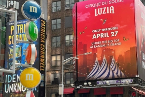 Velkommen til New York: Broadway, 5th Avenue, Central Park-tur