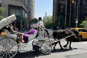 Velkommen til New York: Broadway, 5th Avenue, Central Park-tur