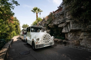 Nice: Gentle ride on a mini electric train with panoramic views