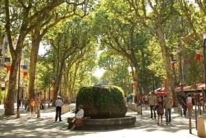 Aix En Provence and Wine Tasting Private Full day Tour