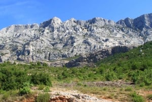 Aix En Provence and Wine Tasting Private Full day Tour