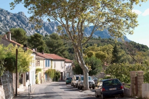 Richness of Provence in one day - customizable private trip