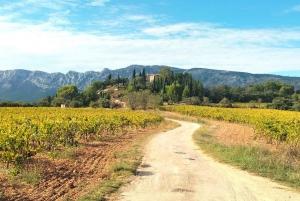Richness of Provence in one day - customizable private trip