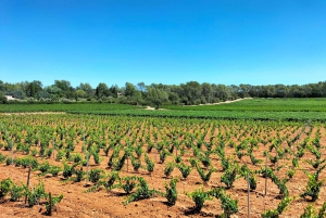 Richness of Provence in one day - customizable private trip