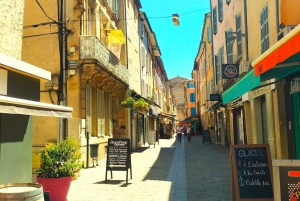 Richness of Provence in one day - customizable private trip