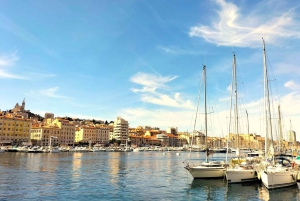 Richness of Provence in one day - customizable private trip