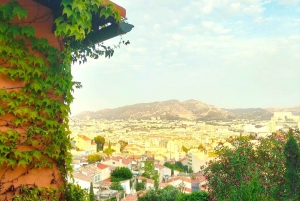 Richness of Provence in one day - customizable private trip