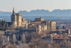 Avignon City of Popes and Wine Tasting Private Full Day Tour