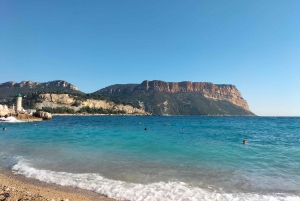 Richness of Provence in one day - customizable private trip