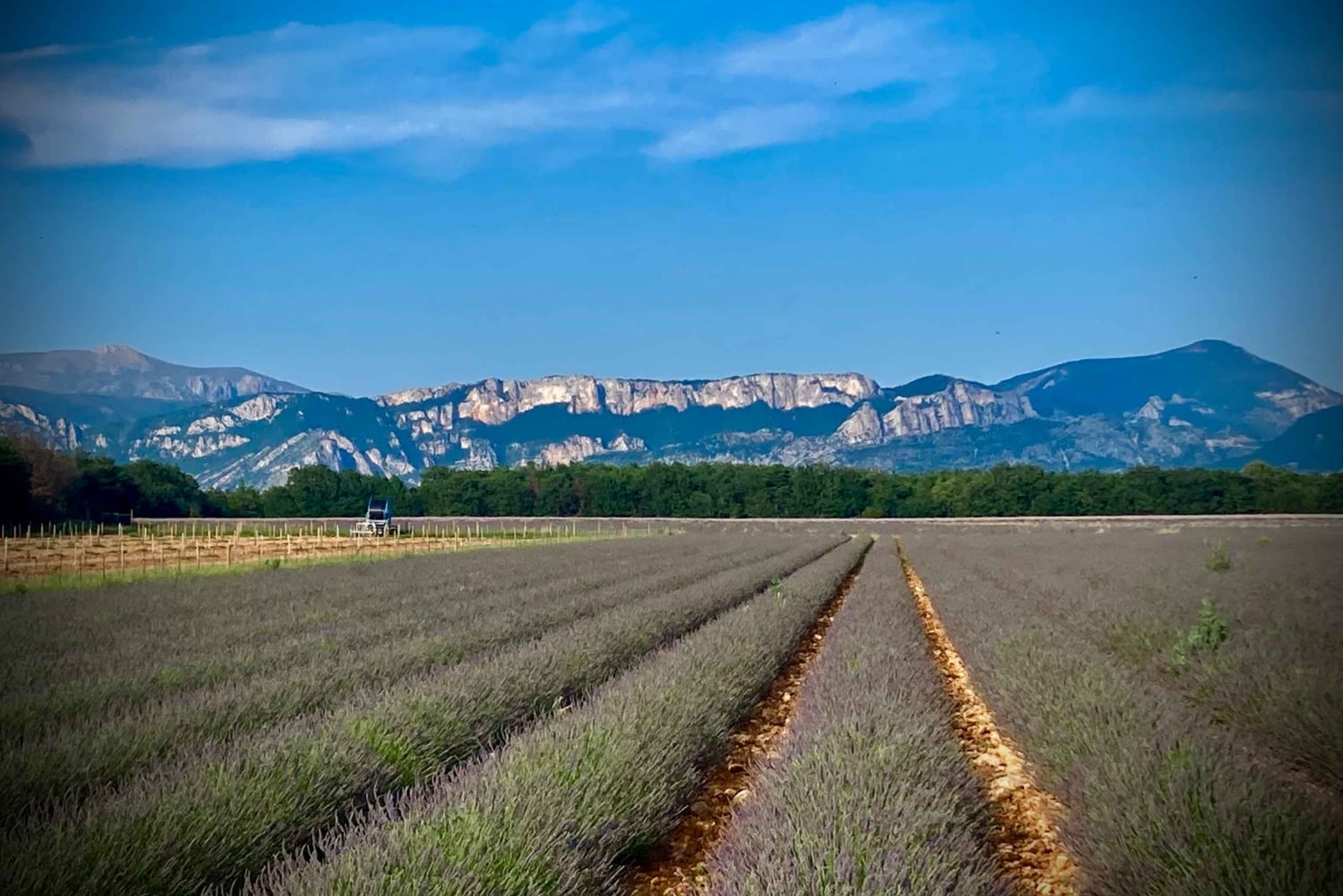 Bespoke Luxury Sightseeing Experiences