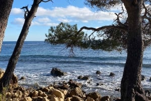 Cannes, Antibes, Mougins, & St-Paul-de-Vence Private Tour