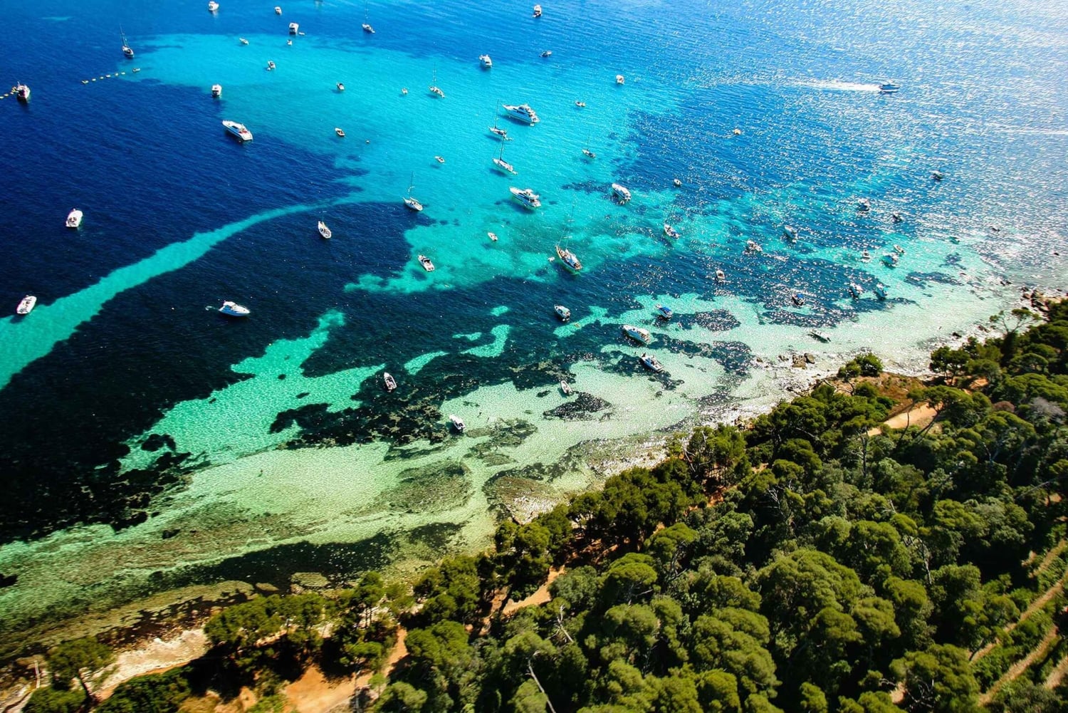 Cannes: Boat cruise to the Leyrins Islands or the Rochers Rouges