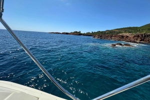 Cannes: Boat cruise to the Leyrins Islands or the Rochers Rouges