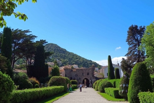 Cannes : Highlights guided Tour of the French Riviera