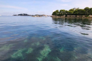 From Cap Ferrat: Premium French Riviera Cruise with Swimming