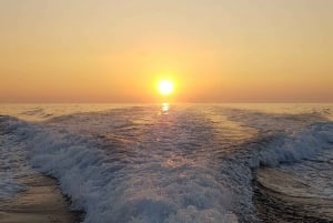 From Cap Ferrat: Premium French Riviera Cruise with Swimming