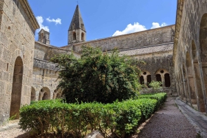 Churches of Provence & French Countryside Private Tour