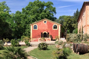 Nice: Full-Day Côtes de Provence Wine Tour