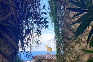 Day Tour from Nice to Menton & the Italian Riviera