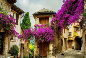Provence private tour: Aix-en-Provence, (Marseille) & Cassis
