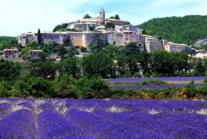 Provence private tour: Aix-en-Provence, (Marseille) & Cassis