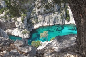 Provence private tour: Aix-en-Provence, (Marseille) & Cassis