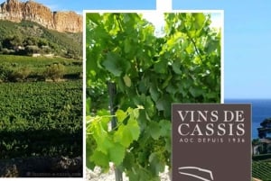 Provence private tour: Aix-en-Provence, (Marseille) & Cassis