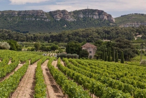 Provence private tour: Aix-en-Provence, (Marseille) & Cassis