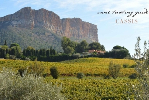 Provence private tour: Aix-en-Provence, (Marseille) & Cassis