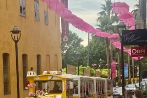 Depuis Cannes une journée Grasse ,Gourdon, St Paul de Vence