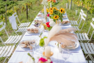Dinner in the vineyard French Riviera