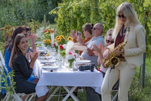 Dinner in the vineyard French Riviera
